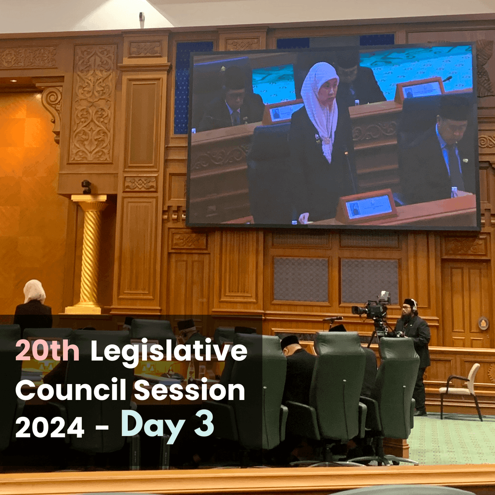 LegCo 2024 - Supply Bill